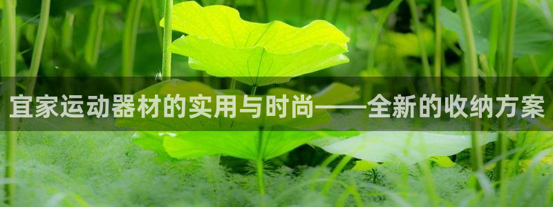 征途国际招商电话号码是多少:宜家运动器材的实用与时尚——全新