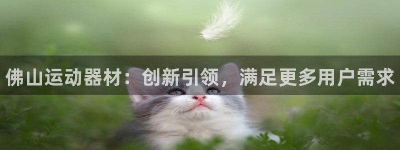 征途国际娱乐下载:佛山运动器材:创新引领,满足更多用户需求