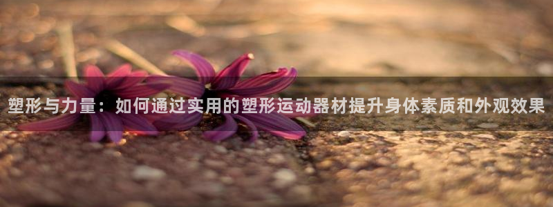 征途国际是干嘛的公司:塑形与力量:如何通过实用的塑形运动器材
