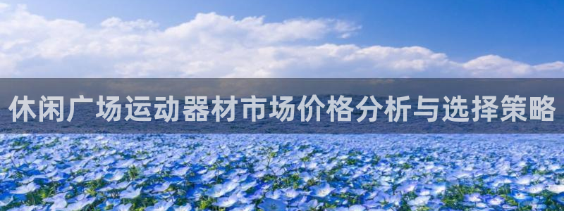 征途国际娱乐下载:休闲广场运动器材市场价格分析与选择策略